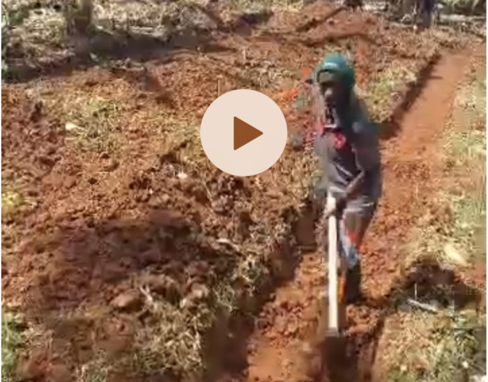 Screenshot 2024-07-25 at 11.02.45 AM Poultry Farm Video
